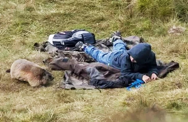 男子爬山偶遇两只大野猪，深山奇遇引发关注与热议