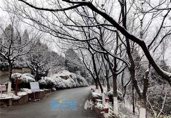 济南大明湖飞雪，水墨意境拉满——探寻自然之美与人文之韵的交融盛景！标题中的情感词汇和神秘面纱揭晓之旅。