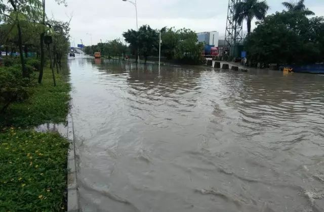 推荐，河南许昌暴雨后的真相揭秘——满目疮痍传闻不实？