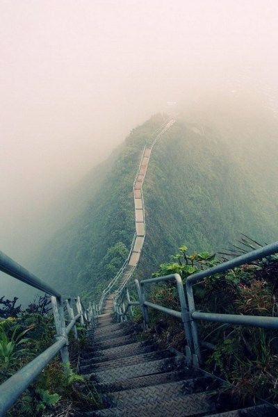 自费修百米登山木梯，壮举背后的故事与挑战待揭晓！最新资讯深度解读。