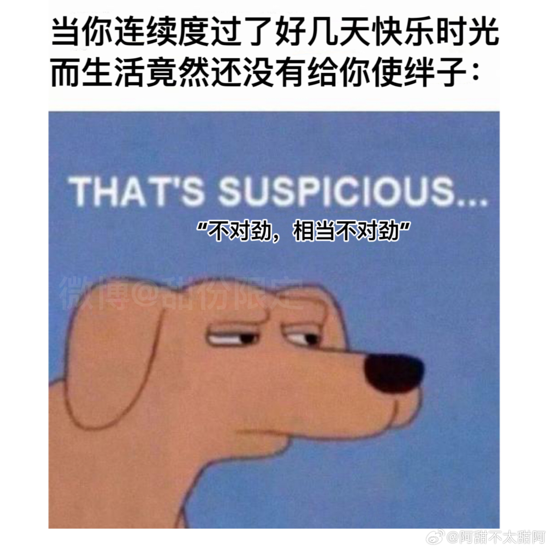 深度揭秘澳门现象，警惕背后的不寻常信号！难道真相并非我们所见？标题震撼人心，内容引人深思。