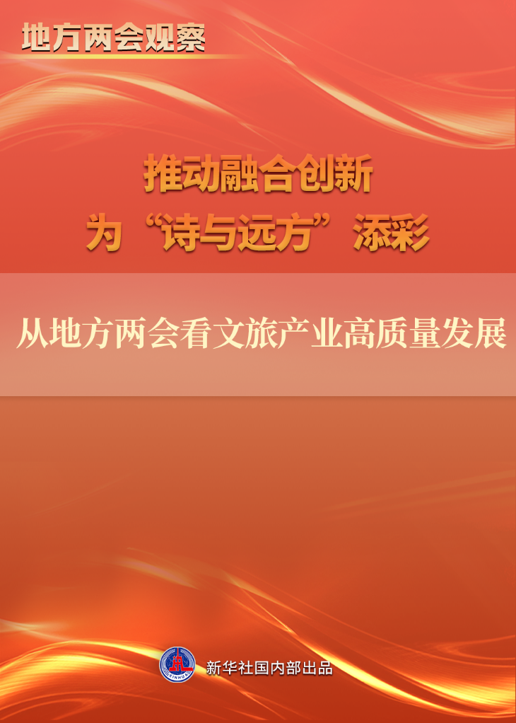 外国青年两会探寻“中国发展密码”