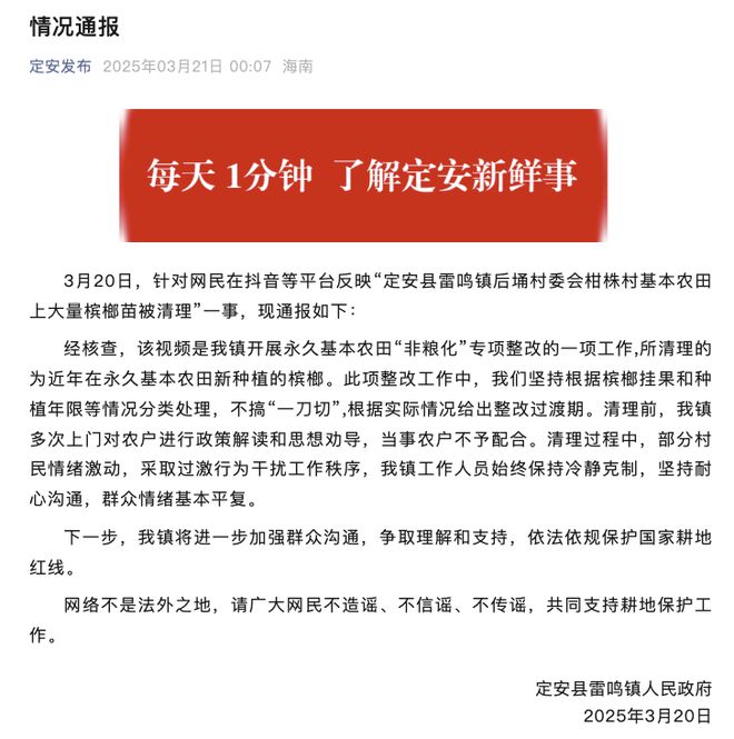 海南定安基本农田槟榔苗遭清理事件引爆舆论风波，真相究竟如何？为何引发社会广泛关注？！一探究竟！深度解析在此。