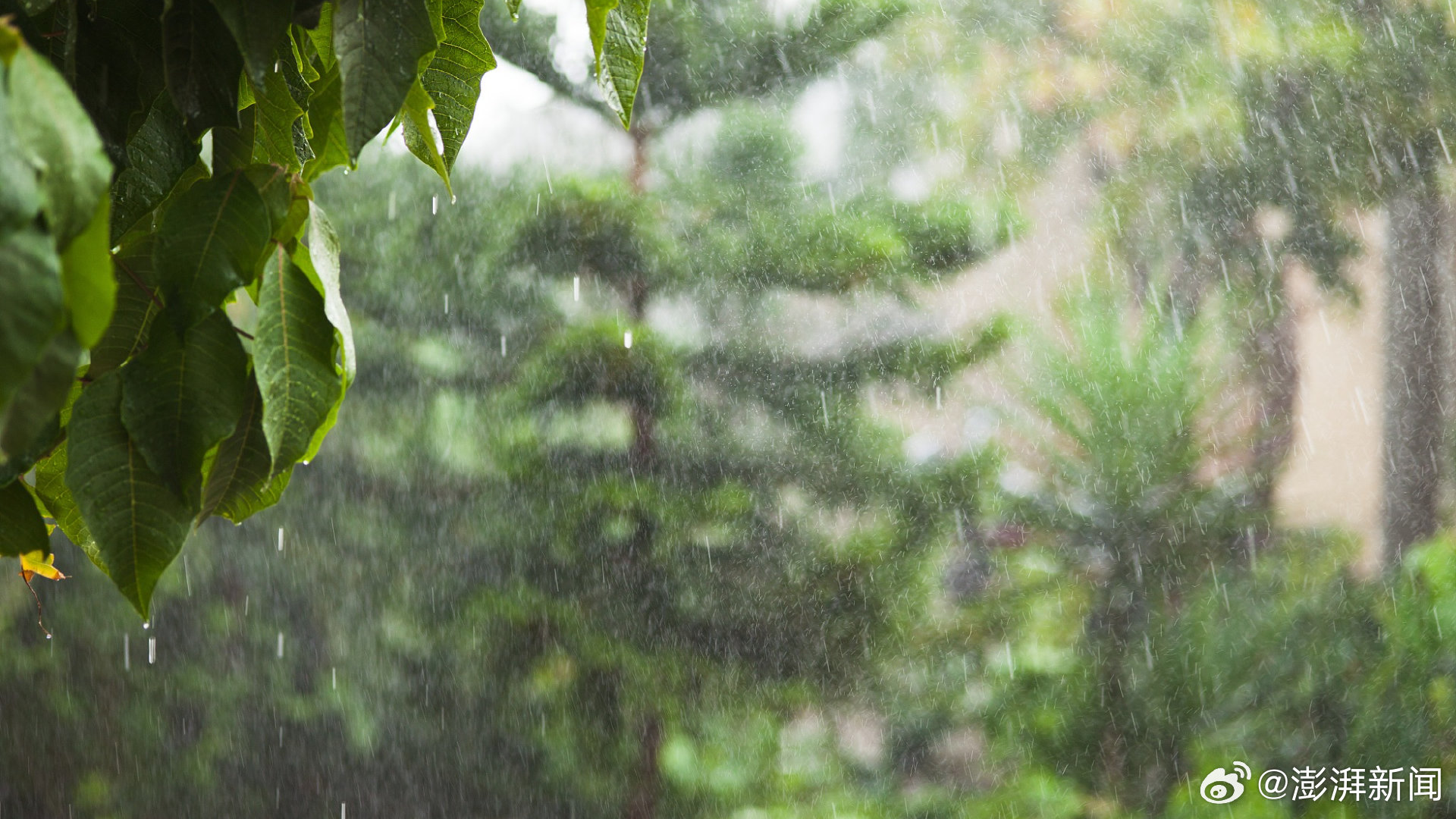 极端天气可能会让江南梅雨季消失